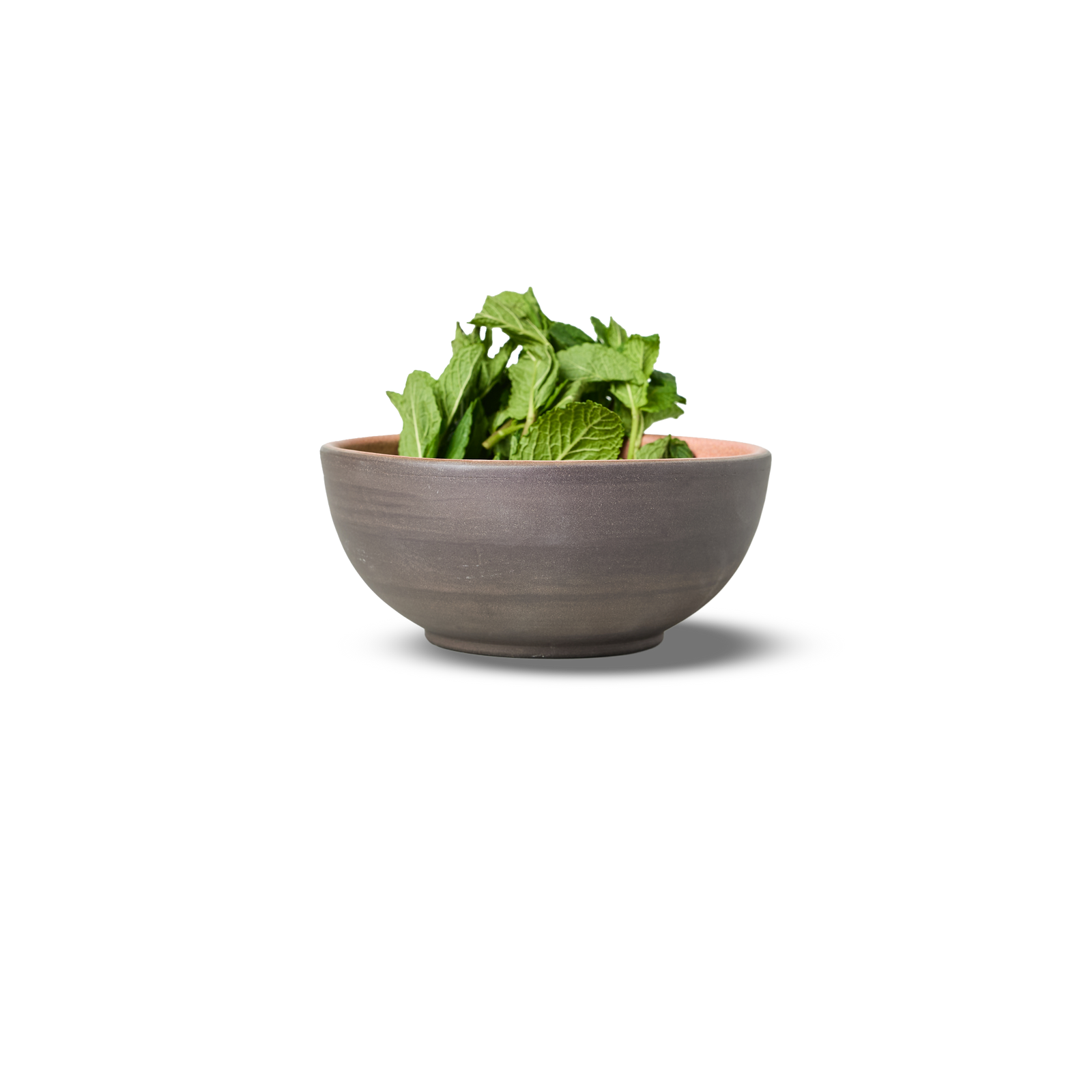 16cm Coupe Soup Bowl | 4-Pack - alternate view