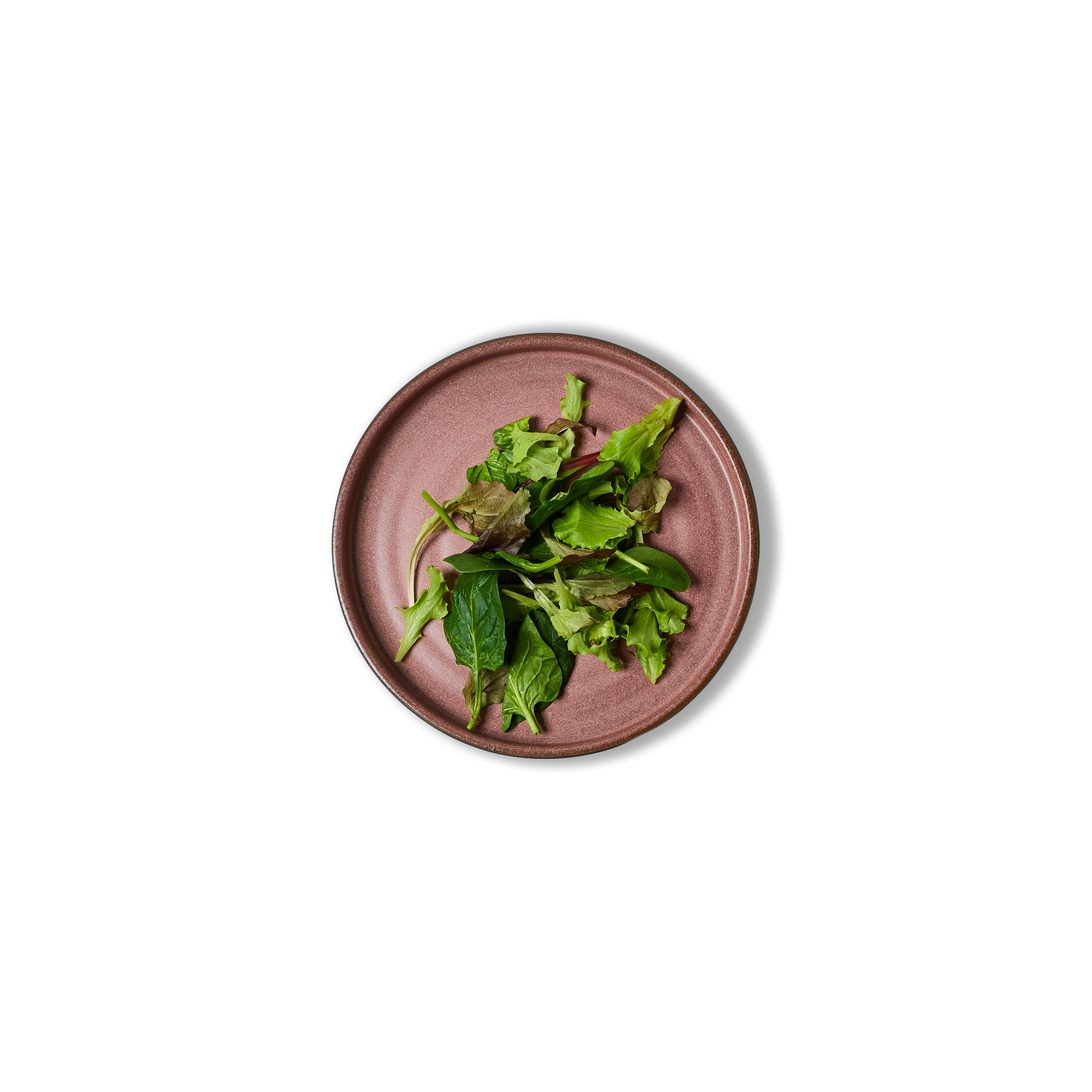 21cm Square Sided Salad Plate - alternate view