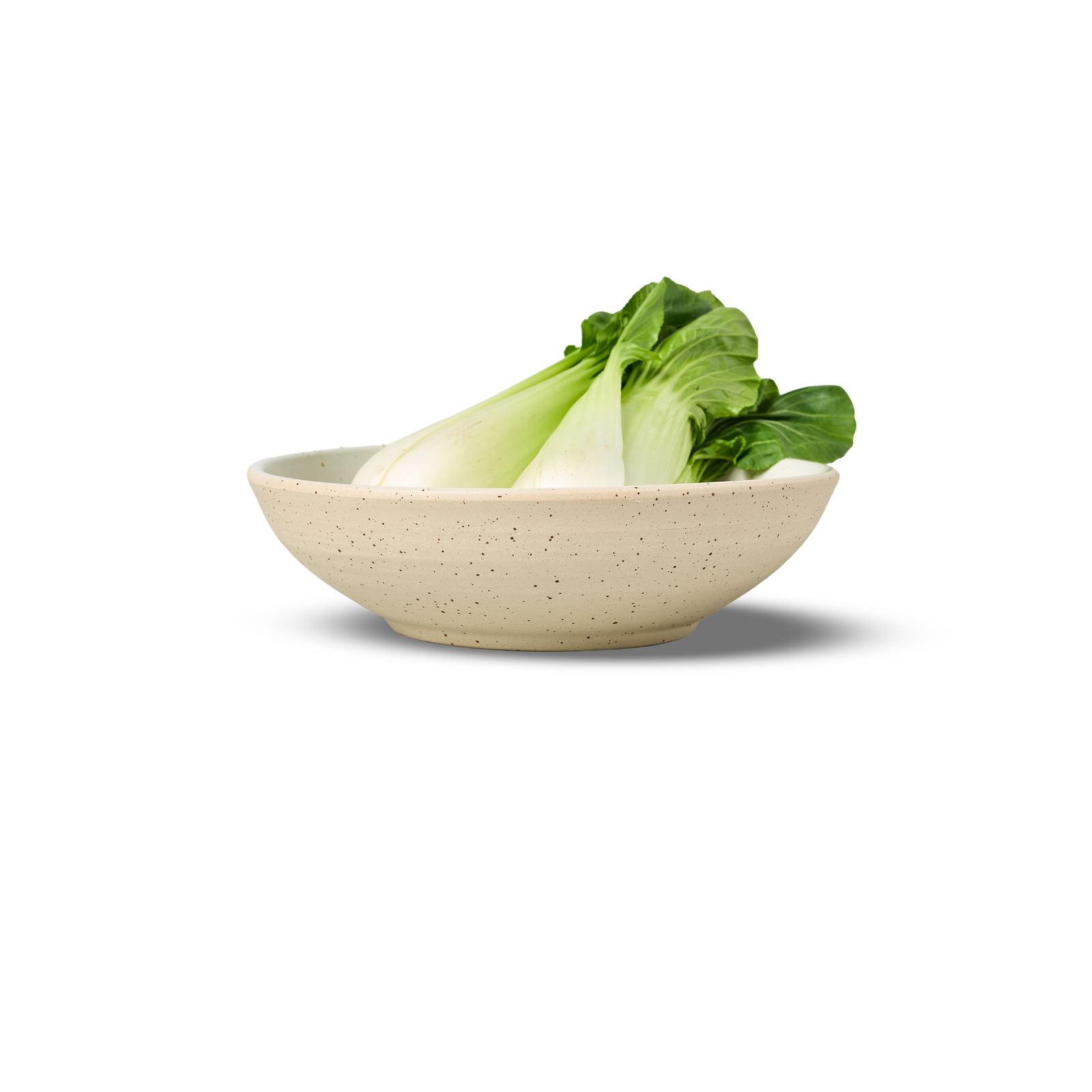 22cm Coupe Pasta Bowl | 4-Pack - alternate view