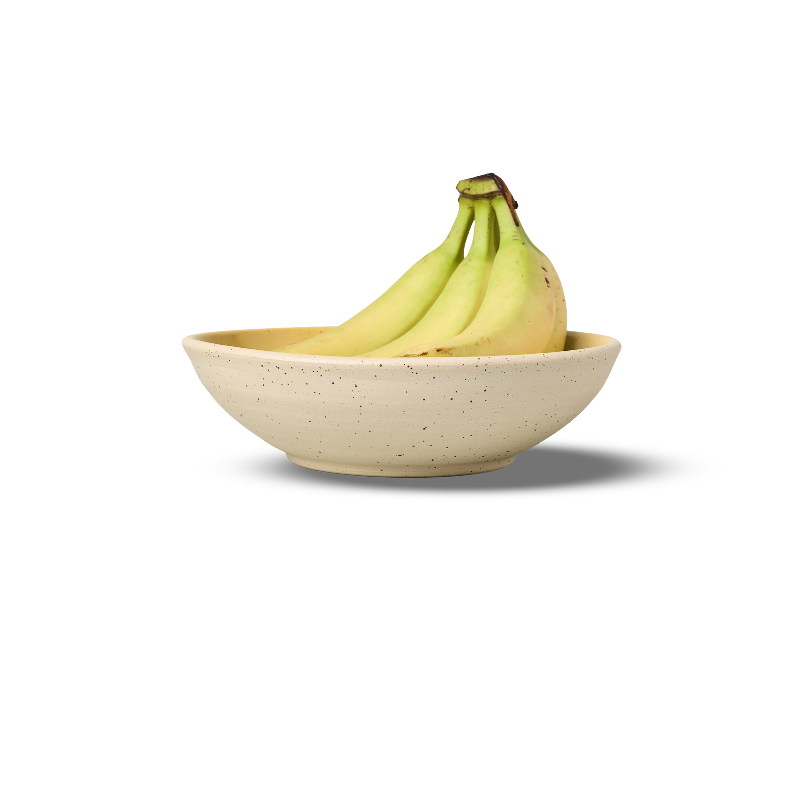 22cm Coupe Pasta Bowl | 4-Pack - alternate view