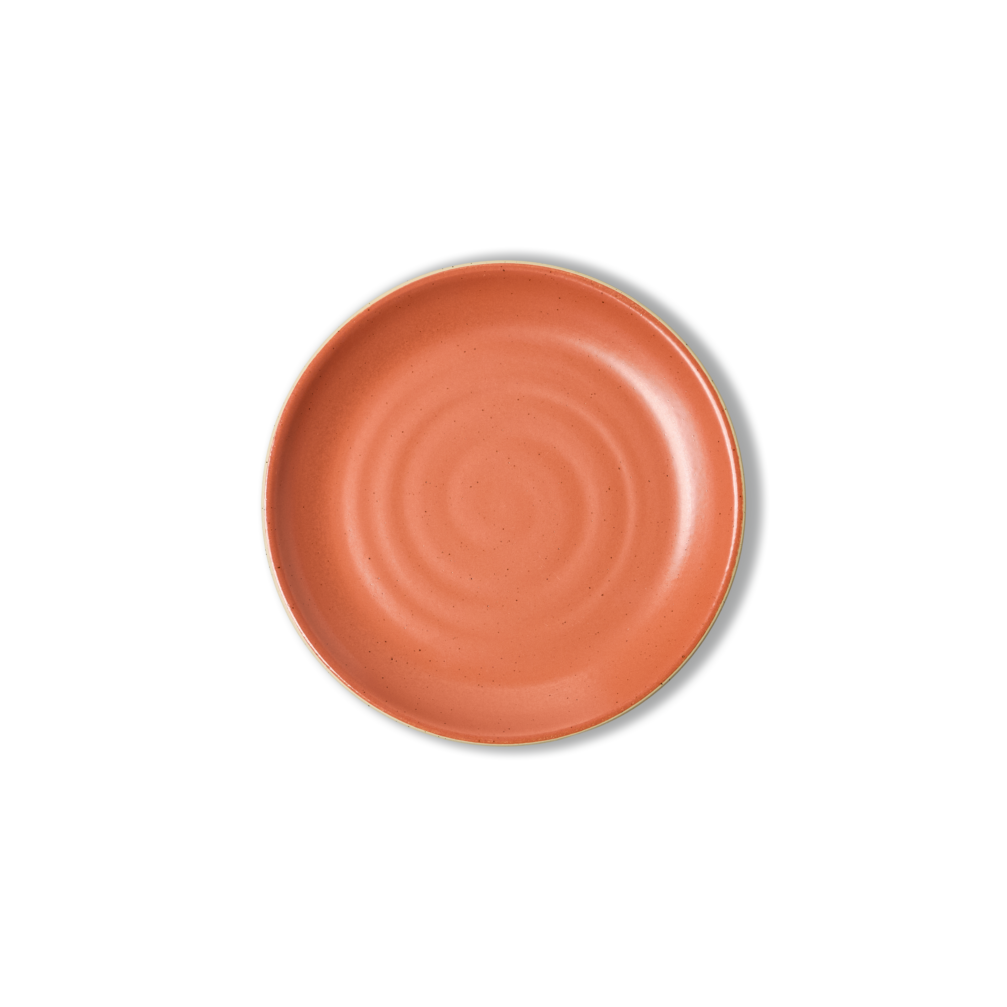 25cm Coupe Dinner Plate