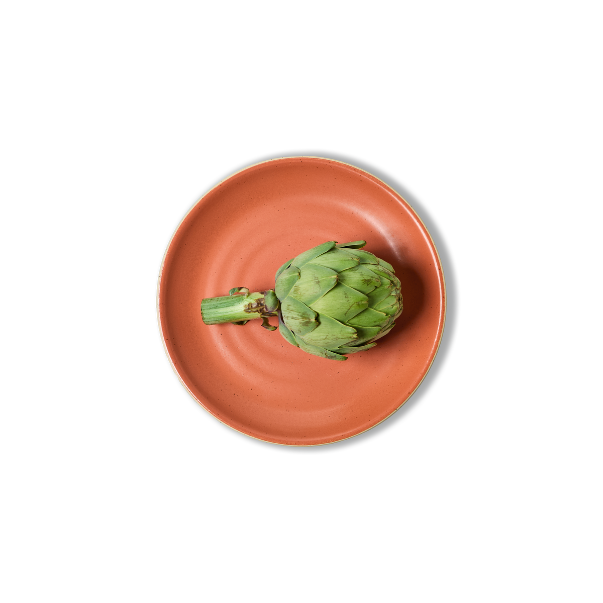 25cm Coupe Dinner Plate - alternate view