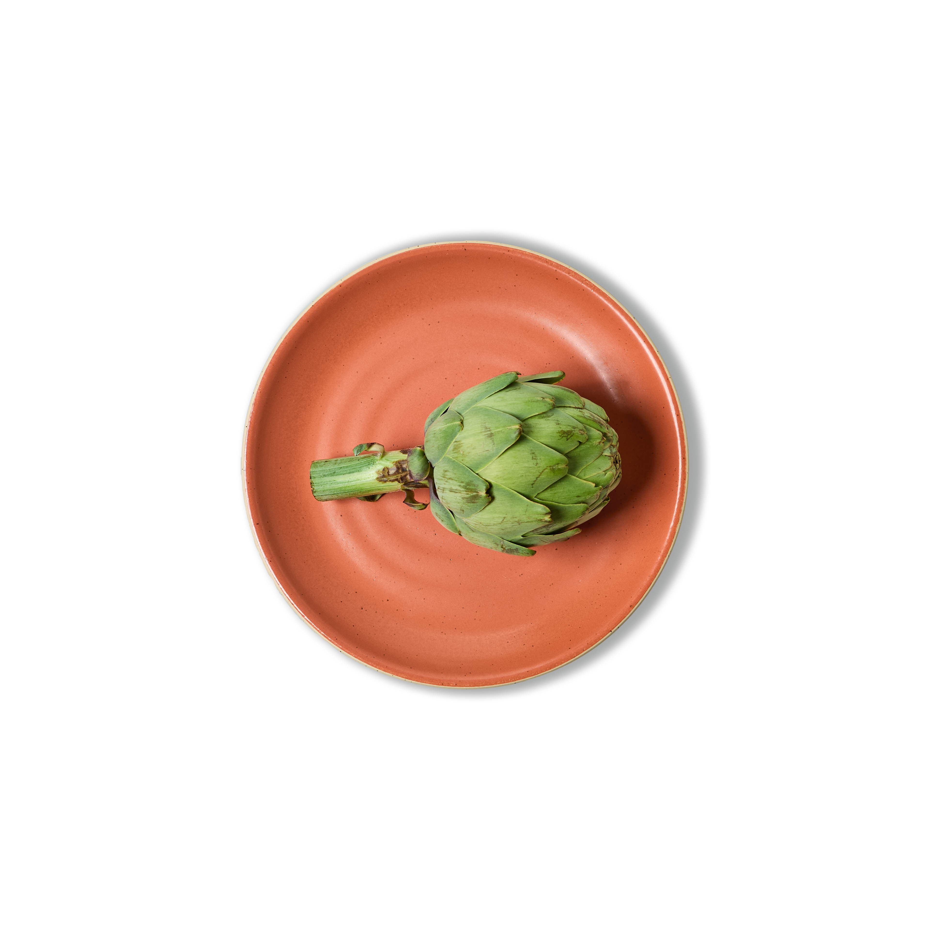 25cm Coupe Dinner Plate | 4-Pack - alternate view