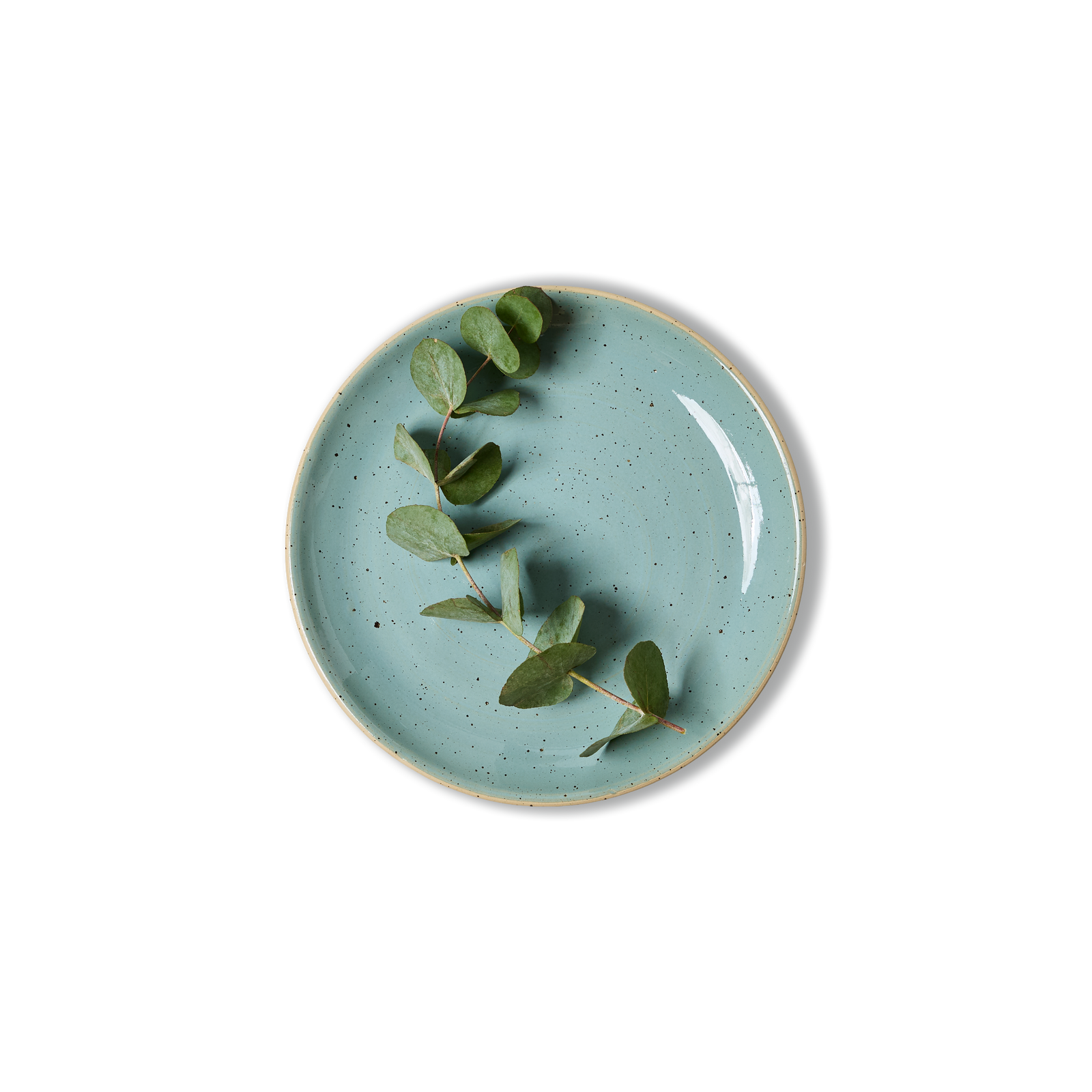 25cm Coupe Dinner Plate - alternate view