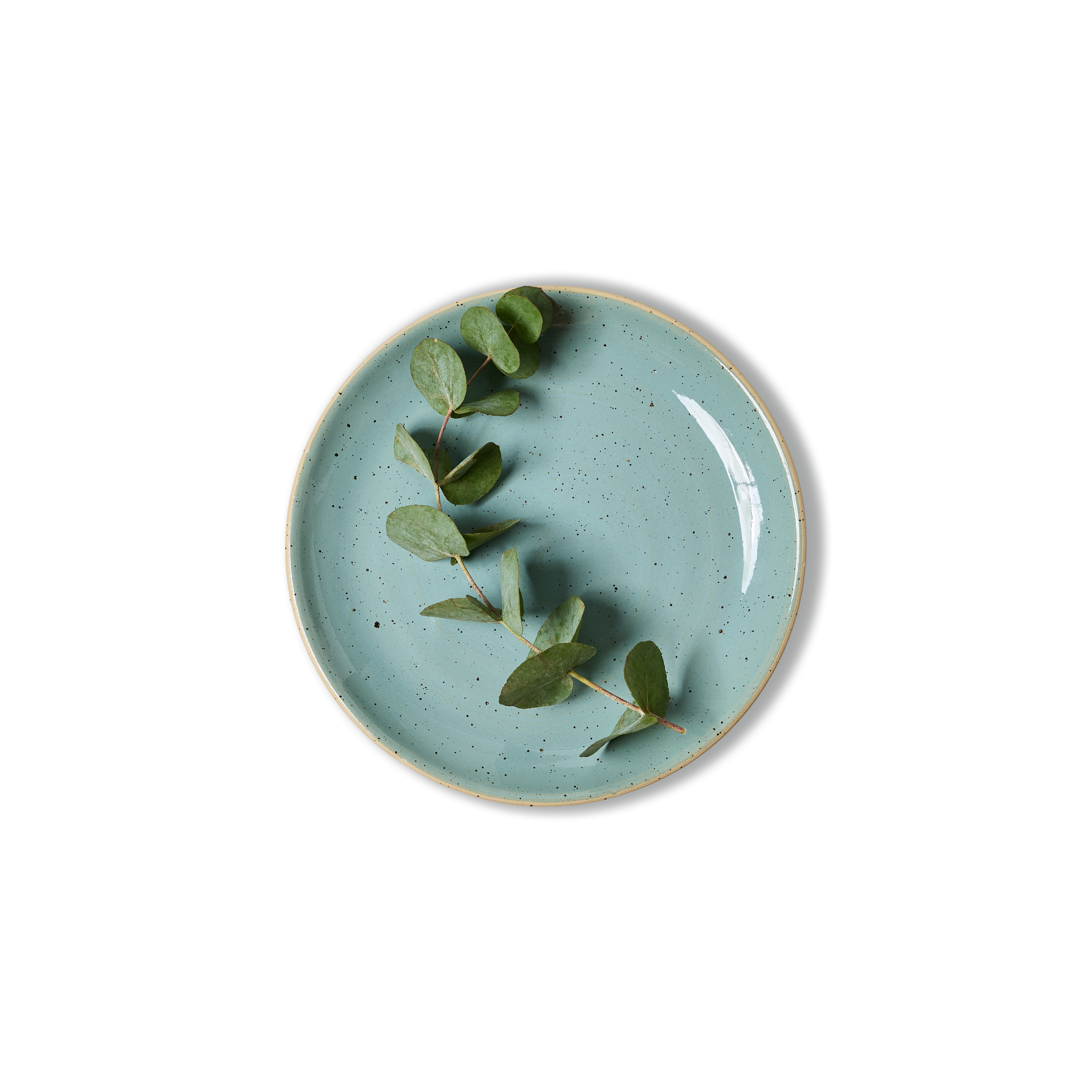 25cm Coupe Dinner Plate - alternate view
