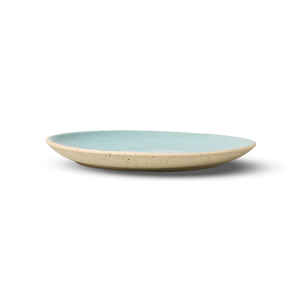 25cm Coupe Dinner Plate