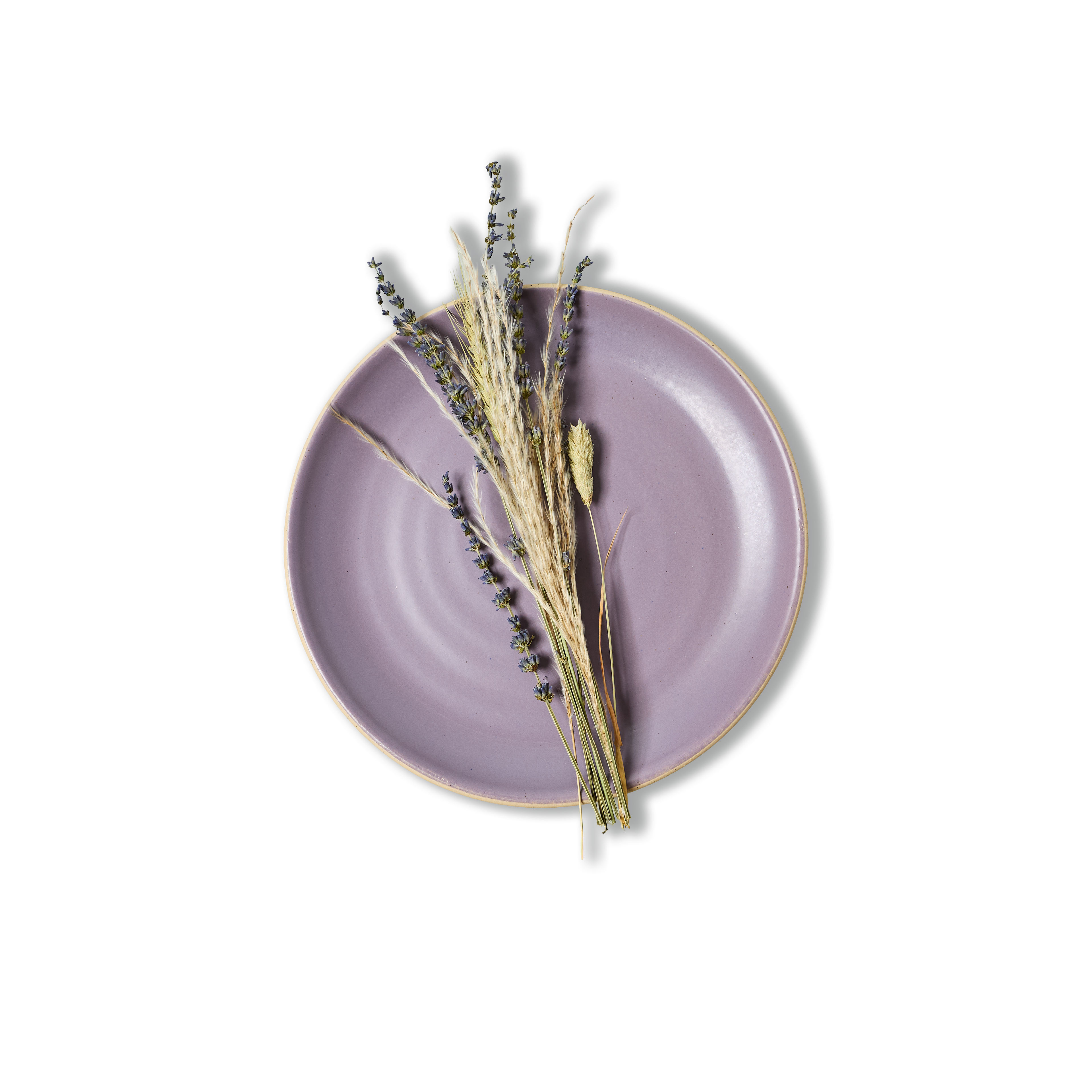 25cm Coupe Dinner Plate | 4-Pack - alternate view