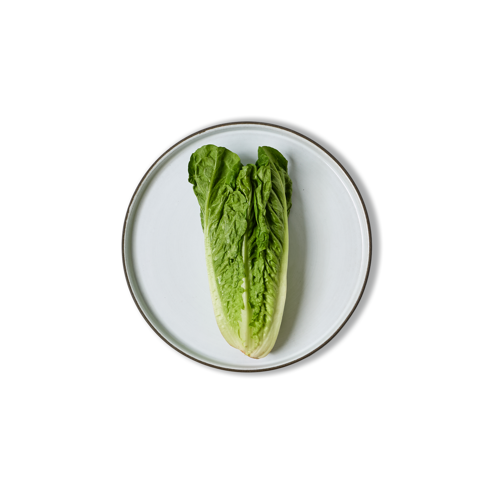 26cm Square Sided Steak Plate | 4-Pack - alternate view
