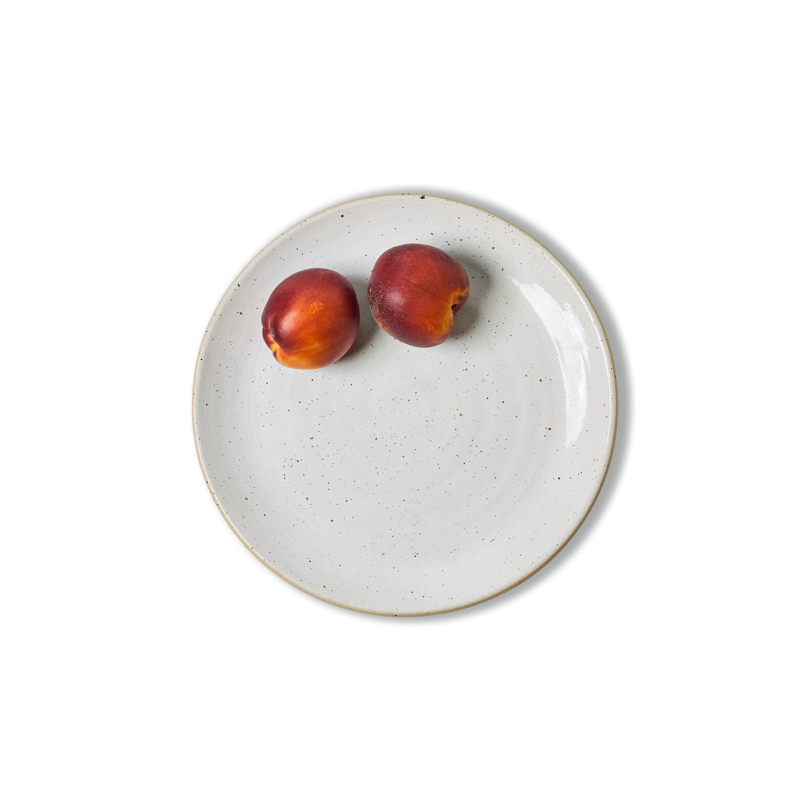 28cm Coupe Large Dinner Plate - alternate view
